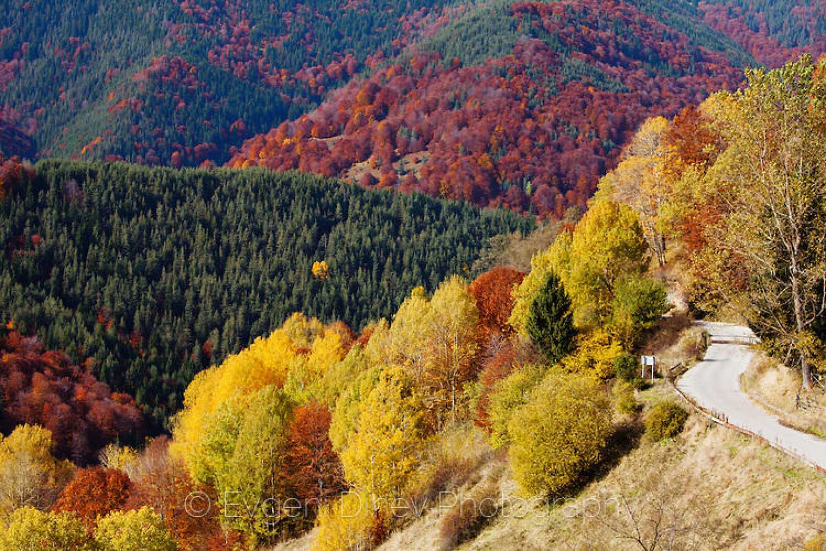 Есенно